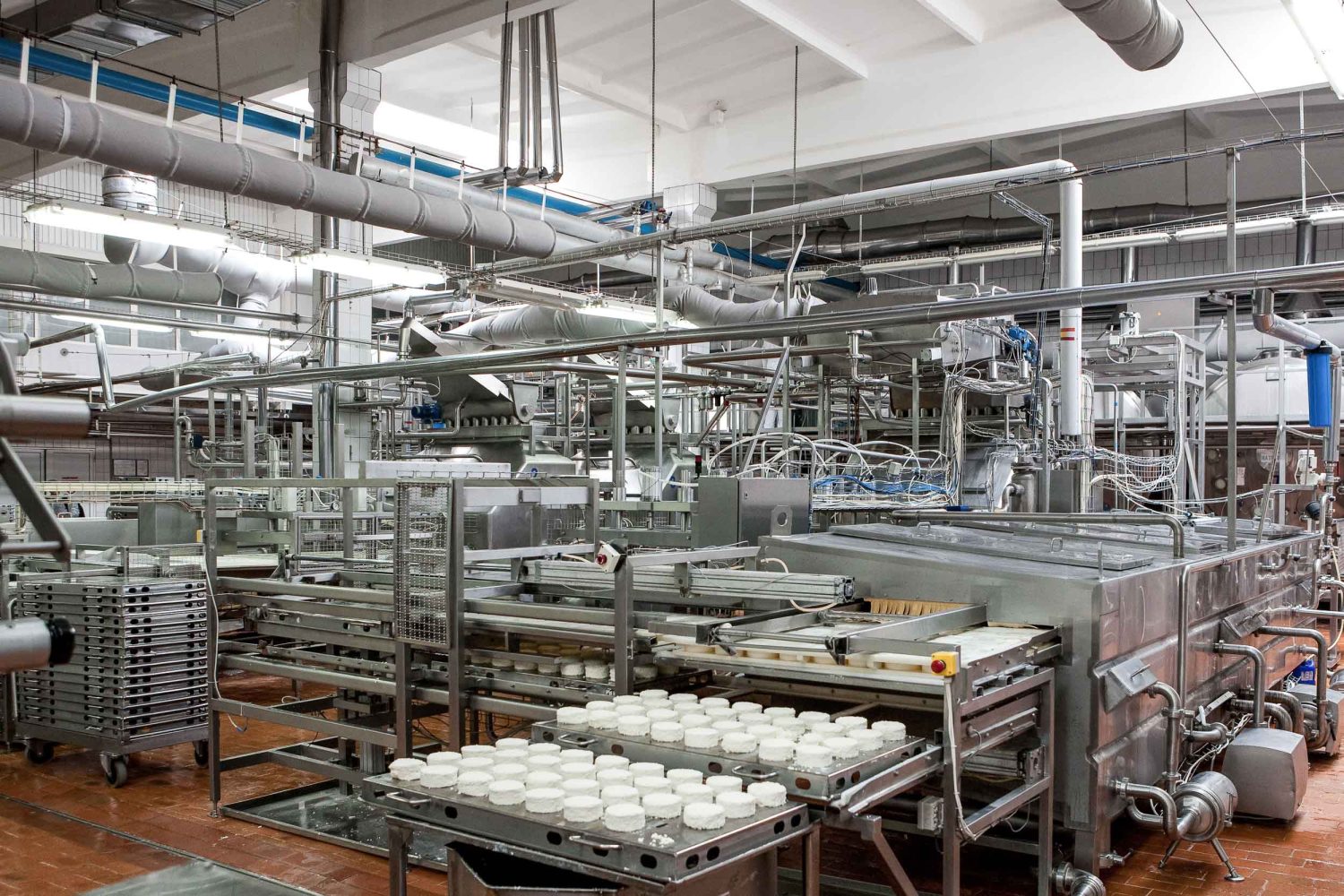 factory production, process, industry, food